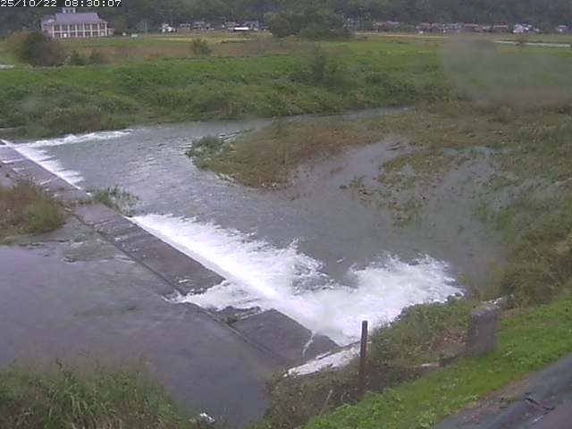 河内川２2025/10/22 11:20:00