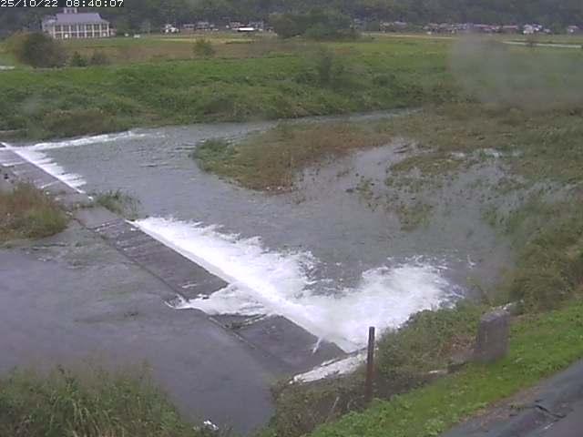 河内川２2025/10/22 11:20:00