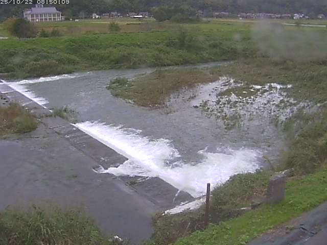 河内川２2025/10/22 11:20:00