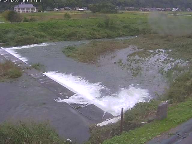 河内川２2025/10/22 11:20:00