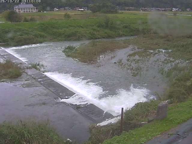 河内川２2025/10/22 11:20:00