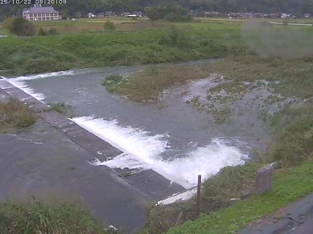 河内川２2025/10/22 11:20:00