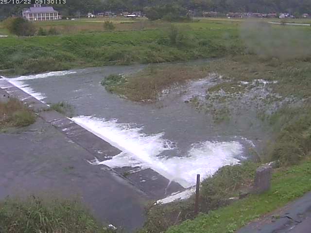 河内川２2025/10/22 11:20:00