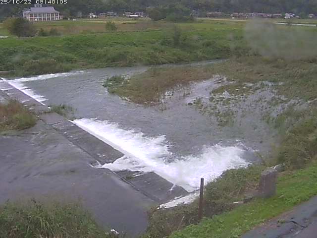 河内川２2025/10/22 11:20:00
