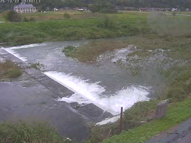 河内川２2025/10/22 11:20:00