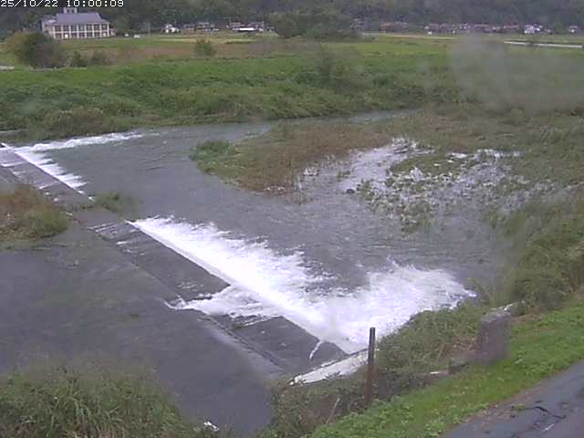 河内川２2025/10/22 11:20:00