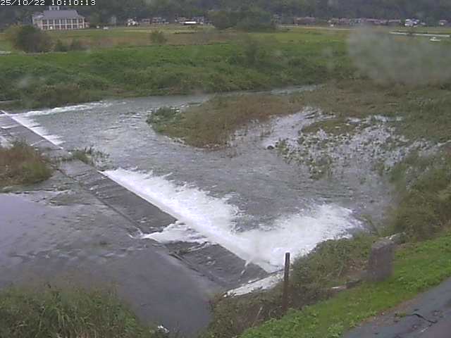 河内川２2025/10/22 11:20:00