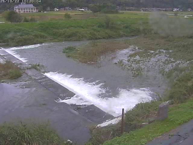河内川２2025/10/22 11:20:00