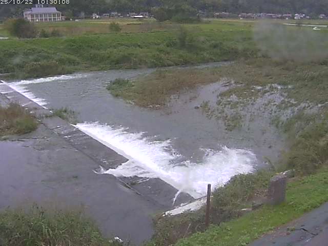 河内川２2025/10/22 11:20:00