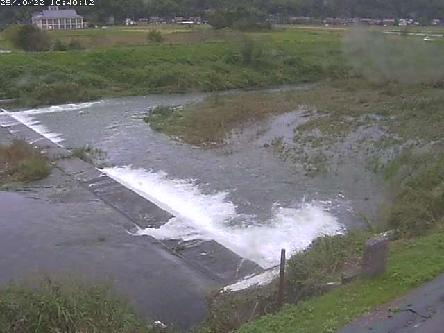 河内川２2025/10/22 11:20:00