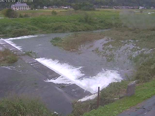 河内川２2025/10/22 11:20:00
