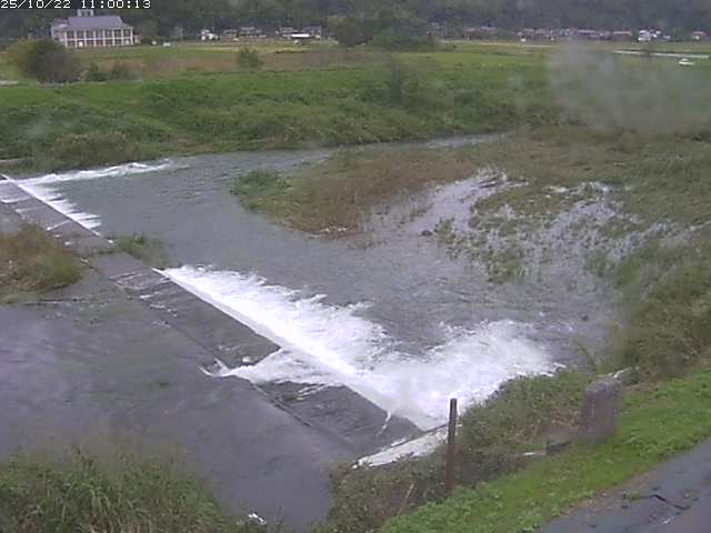 河内川２2025/10/22 11:20:00
