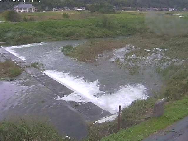 河内川２2025/10/22 11:20:00