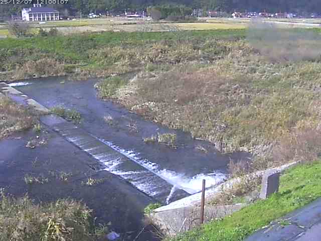 河内川２2025/12/08 11:30:00