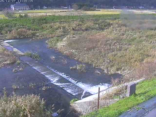 河内川２2025/12/08 11:30:00