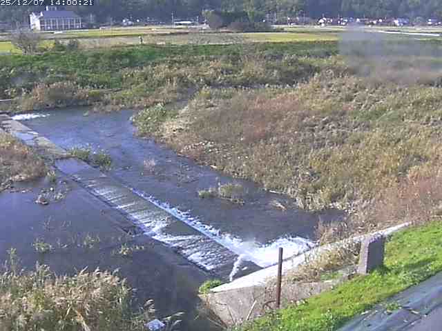 河内川２2025/12/08 11:30:00