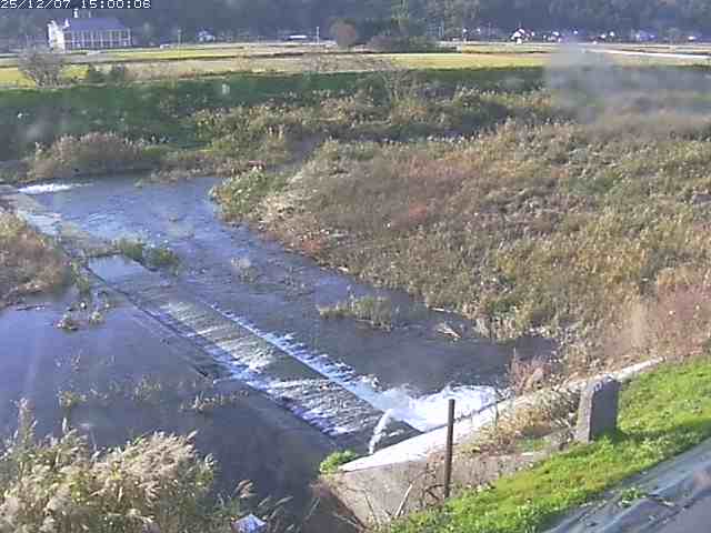河内川２2025/12/08 11:30:00