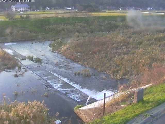 河内川２2025/12/08 11:30:00