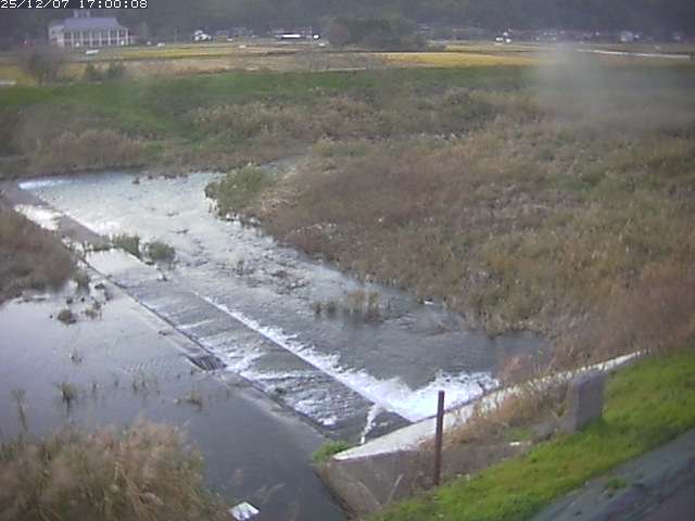 河内川２2025/12/08 11:30:00