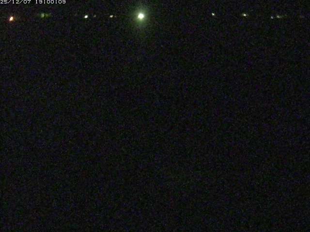 河内川２2025/12/08 11:30:00