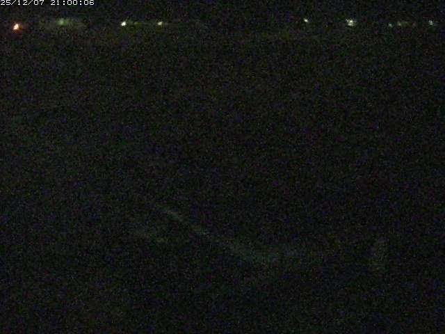 河内川２2025/12/08 11:30:00