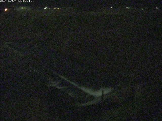 河内川２2025/12/08 11:30:00