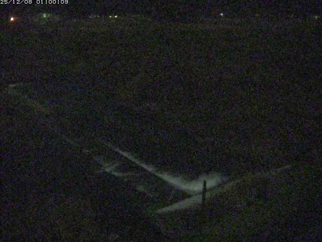 河内川２2025/12/08 11:30:00