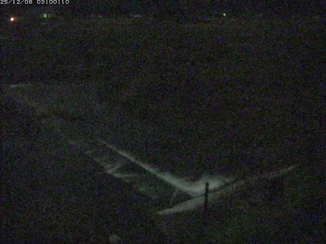 河内川２2025/12/08 11:30:00