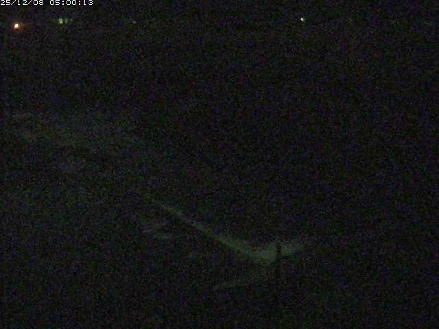 河内川２2025/12/08 11:30:00