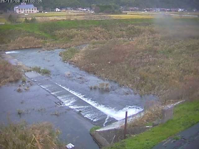 河内川２2025/12/08 11:30:00