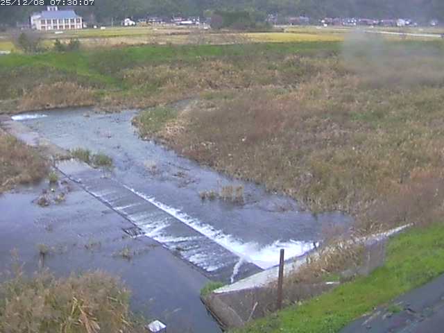 河内川２2025/12/08 11:30:00