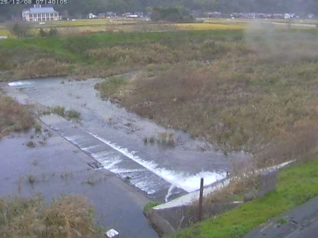 河内川２2025/12/08 11:30:00
