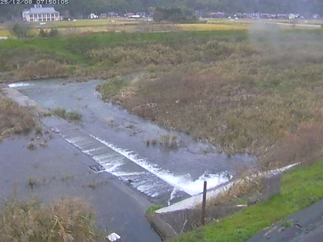 河内川２2025/12/08 11:30:00