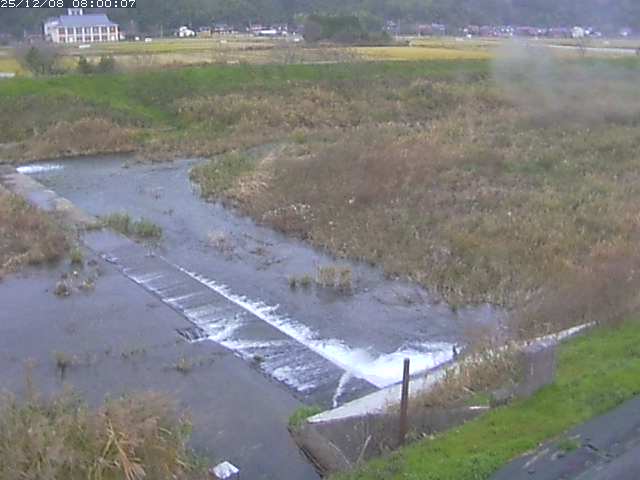 河内川２2025/12/08 11:30:00