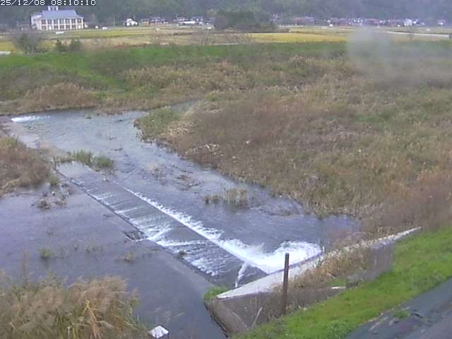 河内川２2025/12/08 11:30:00