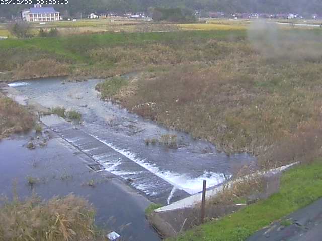 河内川２2025/12/08 11:30:00
