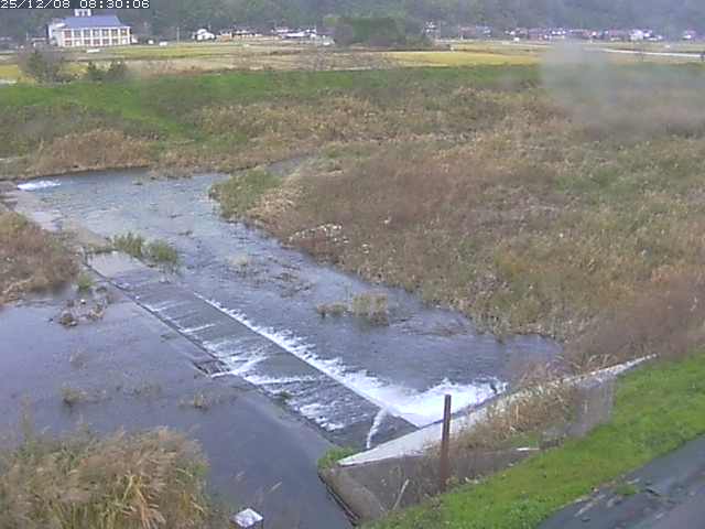 河内川２2025/12/08 11:30:00