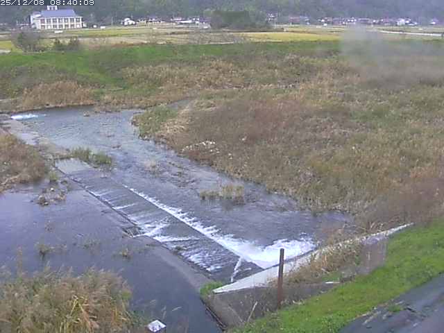 河内川２2025/12/08 11:30:00