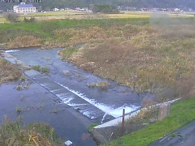 河内川２2025/12/08 11:30:00