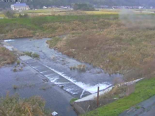 河内川２2025/12/08 11:30:00