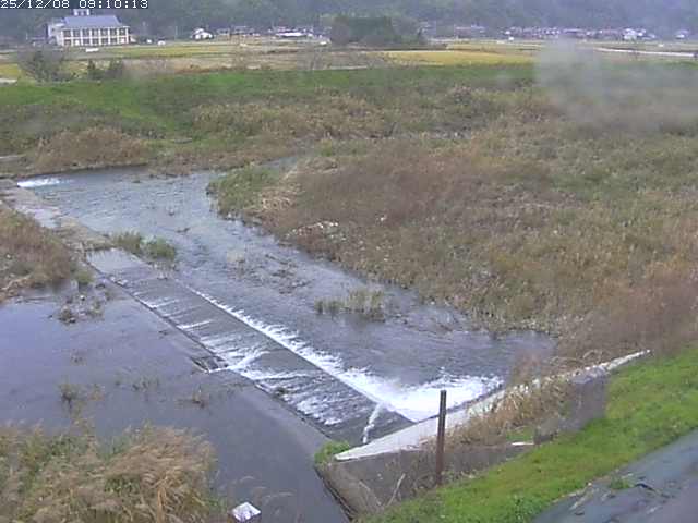河内川２2025/12/08 11:30:00