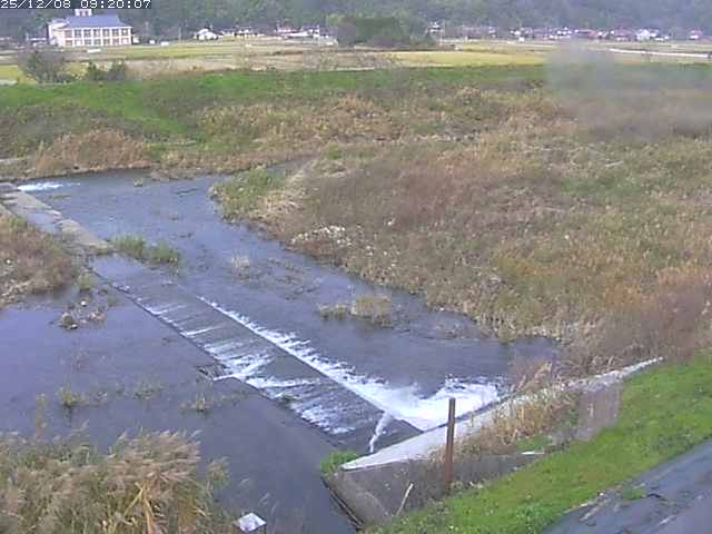 河内川２2025/12/08 11:30:00