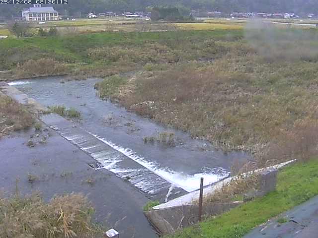 河内川２2025/12/08 11:30:00