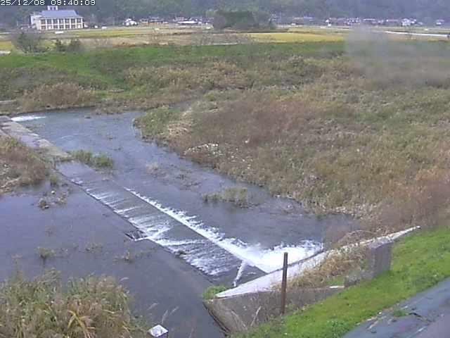 河内川２2025/12/08 11:30:00