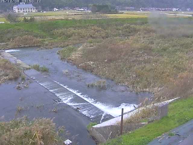 河内川２2025/12/08 11:30:00