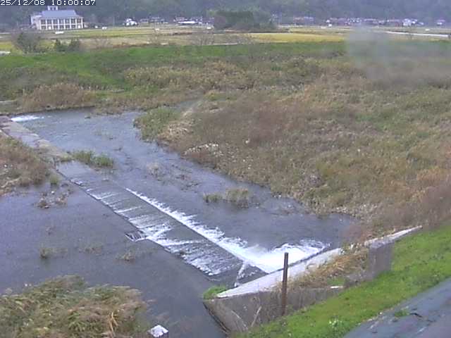 河内川２2025/12/08 11:30:00