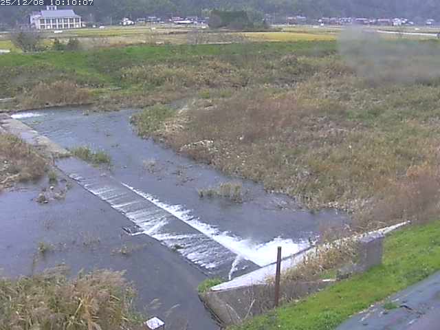 河内川２2025/12/08 11:30:00