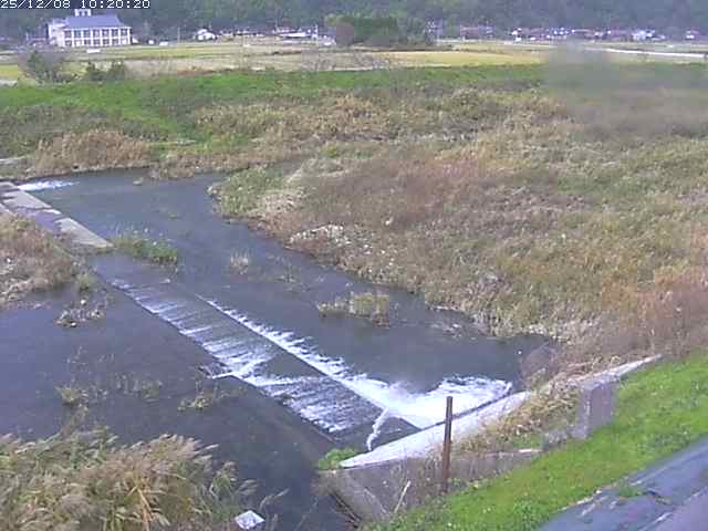 河内川２2025/12/08 11:30:00