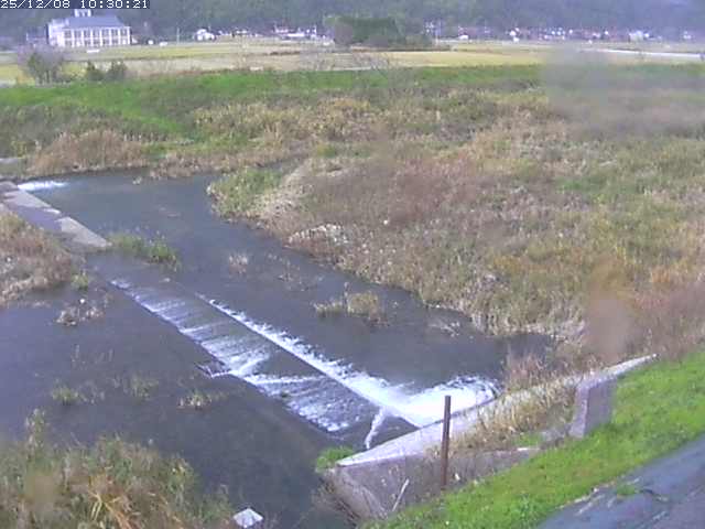 河内川２2025/12/08 11:30:00