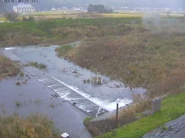 河内川２2025/12/08 11:30:00